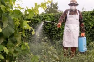 Roundup Weed Killer Product Liability Trial